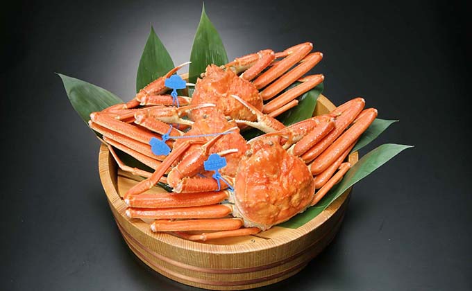 Matsubagani Snow Crab produced in the Sea of Japan