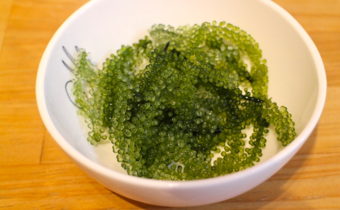 Seaweed, The Superfood Of Japan Work In Japan For Engineers